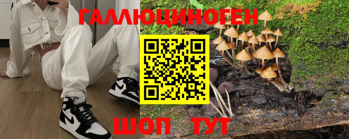 Псилоцибиновые грибы GOLDEN TEACHER  Вход с VPN  Псилоцибиновые грибы Cubensis  Горно-Алтайск 