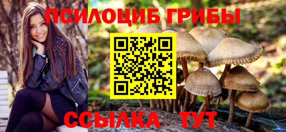 Псилоцибиновые грибы ЛСД Горно-Алтайск